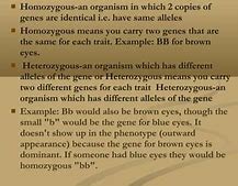 Image result for What Is Homozygous