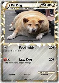 Image result for Fat Dog Pokemon Cards