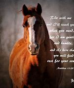 Image result for Adorable Horse Quotes