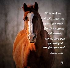 Image result for Cute Horse Quotes