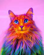 Image result for Cool Colorful Cat