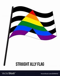 Image result for Straight Allies