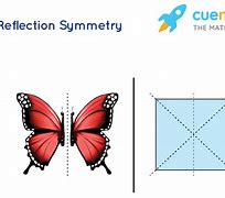 Image result for Mirror Symmetry Examples