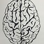 Image result for Small Brain Drawing