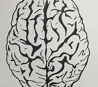 Image result for Brain Drawing/Art