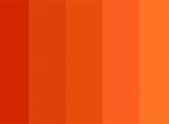 Image result for Dark Orange Light