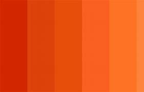 Image result for Orange Fall Color Palette