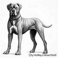 Image result for Cane Corso Coloring Pages