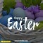 Image result for Easter Egg Media