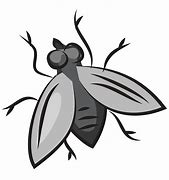 Image result for Fly Clip Art Black and White for Kids