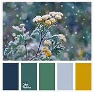 Image result for Yellow-Green Colour