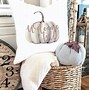 Image result for Fall Decor Pillows