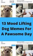 Image result for Good Day Dog Memes