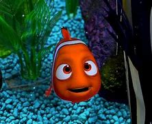 Image result for Finding Nemo Disc 2 DVD Menu Scene