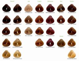 Image result for One N Only Hair Dye Color 4N