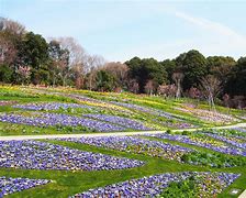 Image result for Yokohama Garden