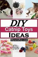Image result for Homemade Catnip Toys