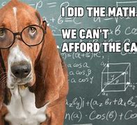 Image result for mathematics tests memes dogs