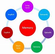 Image result for Types of Working Memory