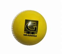 Image result for Cricket Ball Thrower