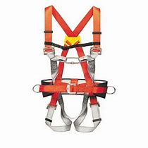 Image result for Safety Belt with Hook