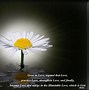 Image result for Christian Quotes and Sayings Cute