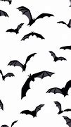 Image result for Bats in Flying Out Attic