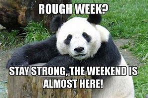 Image result for Memes About a Rough Week