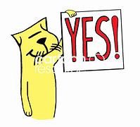 Image result for Cat Saying Yes