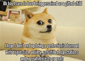 Image result for Gifted Kid Meme