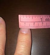 Image result for Things That Are a Centimeter Long