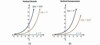Image result for Transformation Horizontal and Vertical Stretch