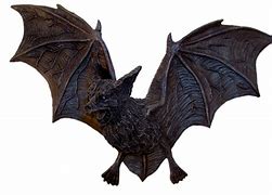 Image result for DD Cute Bat