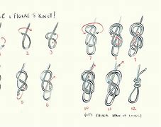 Image result for Double Figure 8 Knot Climbing