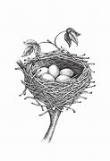 Image result for Bird Nest Sketch