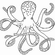 Image result for Octopus Clip Art Black and White VSCO