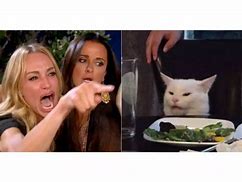 Image result for Salad Cat Meme Template