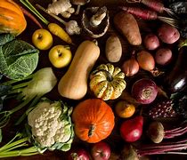 Image result for Fall Produce