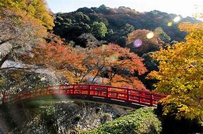 Image result for Osaka National Park