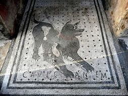 Image result for Cave Canem Pompeii