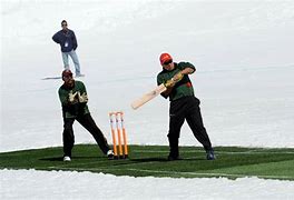 Image result for Snow Cricket