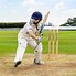 Image result for Equipment Used in Cricket