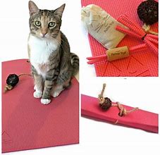 Image result for Cat Mat Toy