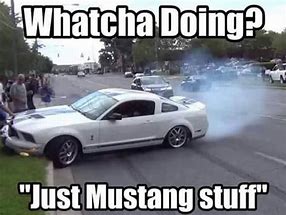 Image result for Mustang Owner Memes