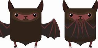 Image result for Anime Indiana Bat