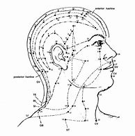 Image result for Head Acupuncture Points Chart