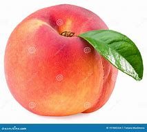 Image result for Single Peach Leaf