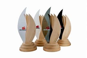 Image result for Sports Trophy Design