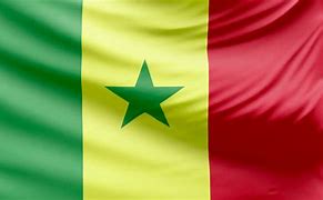 Image result for Senegal Flag