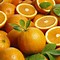 Image result for Fresh Orange Valencia